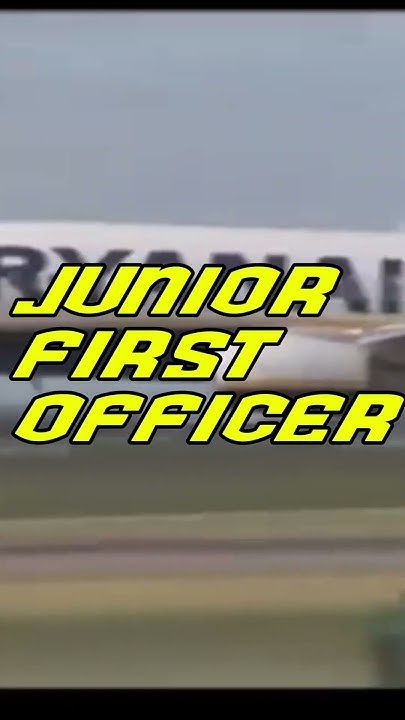 how-much-do-ryanair-pilots-make-planecrash-plane-viralvideo-shorts