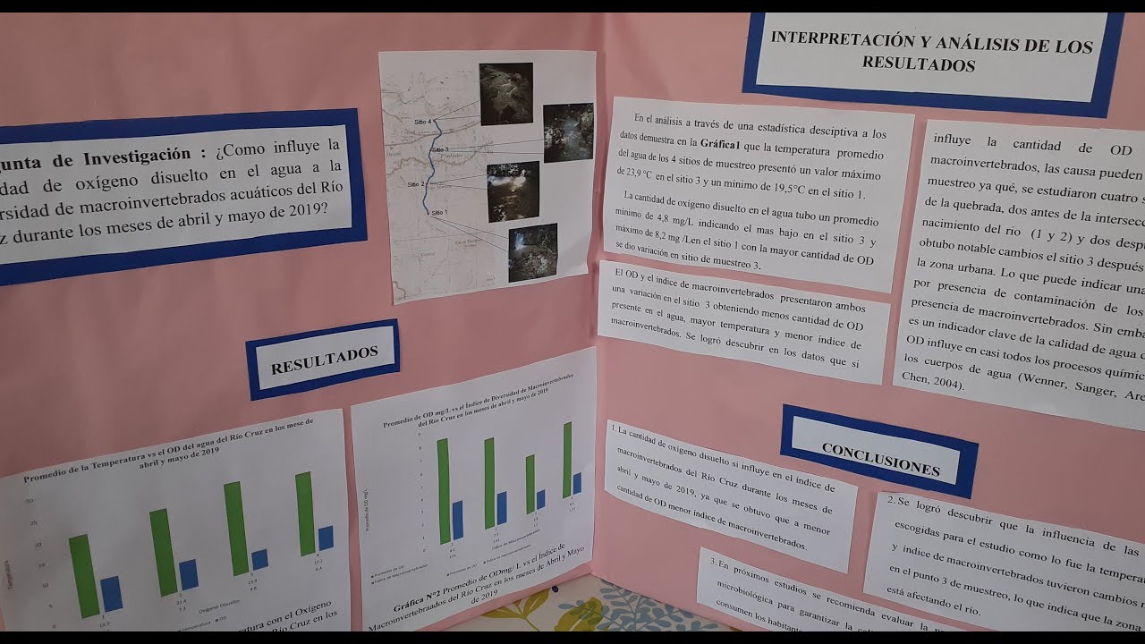 Presentación de los Resultados de una investigación
