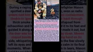 Firefighter Stayed Until The End#shorts