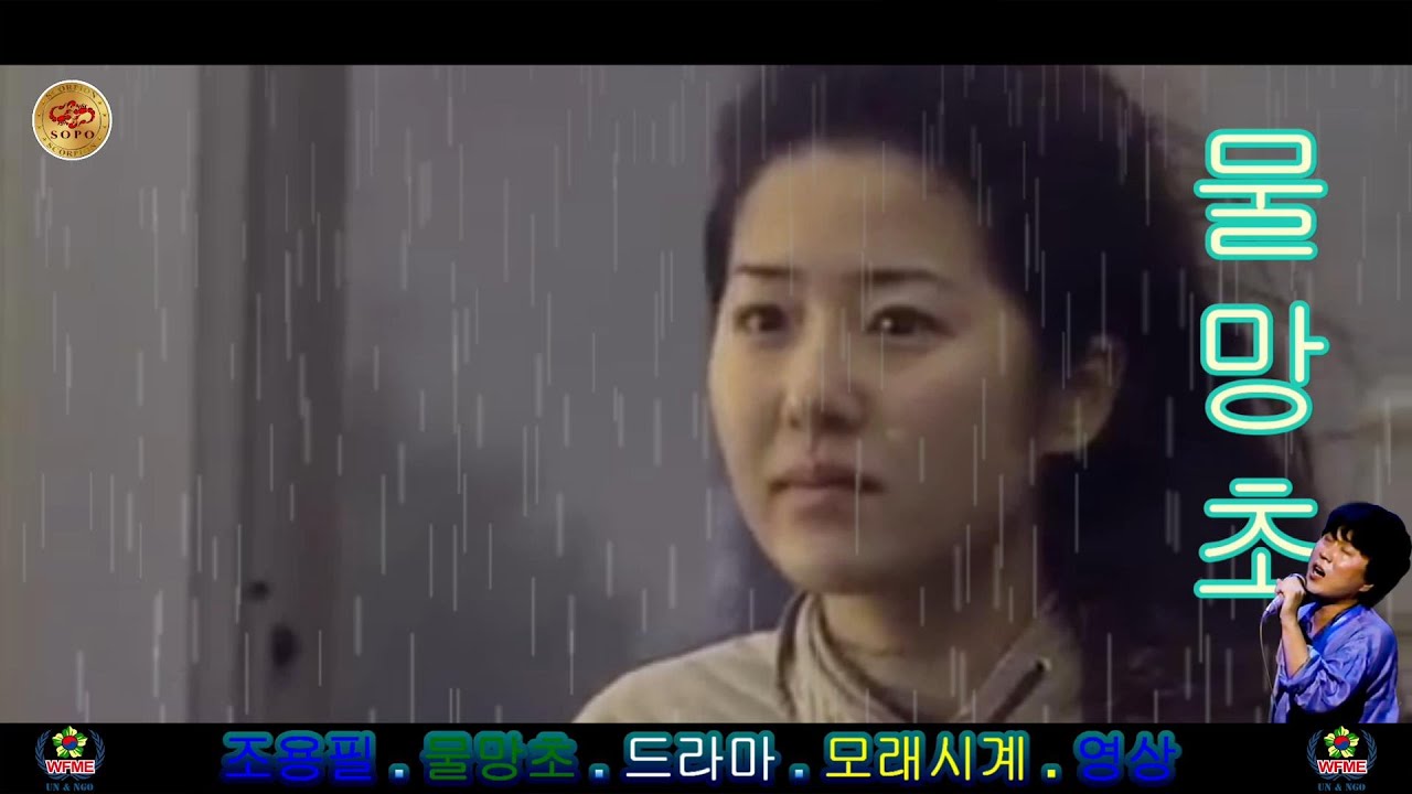 조용필 .NHK실황 - 물망초(옛날영상).드라마.모래시계.영상.)SCPOTV