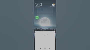 How To Enable Developer Options In Android Phone #shorts #aitech