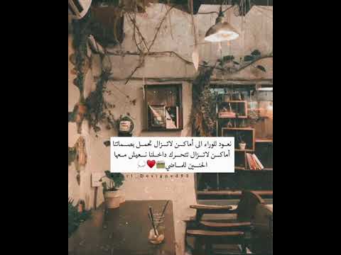 حالات واتس اب عن ذكريات Dima Shorts