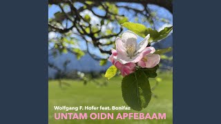 Untam oidn Apfebaam