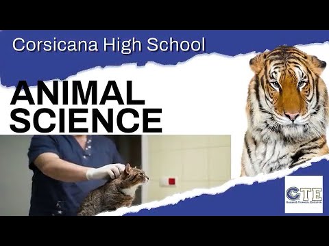 High Schools With Animal Programs