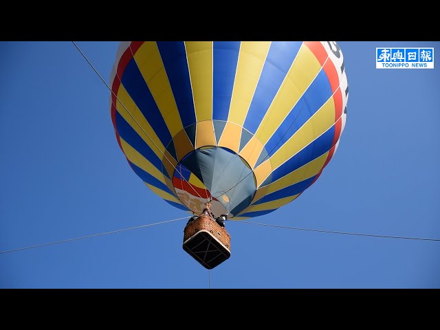 シバザクラ7万株、気球から堪能／十和田 - YouTube