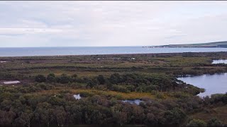 Ep2 Studland Bay - Dji Mini 2 Cinematic 4K