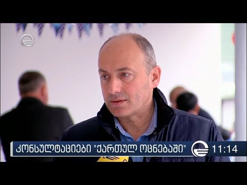 კონსულტაციები ,,ქართულ ოცნებაში''