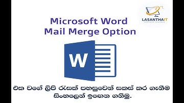MS Word Mail Merge Option
