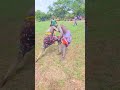 He didn't welcome the defeat, watch to the end 🤼‍♂️🇸🇸🔥