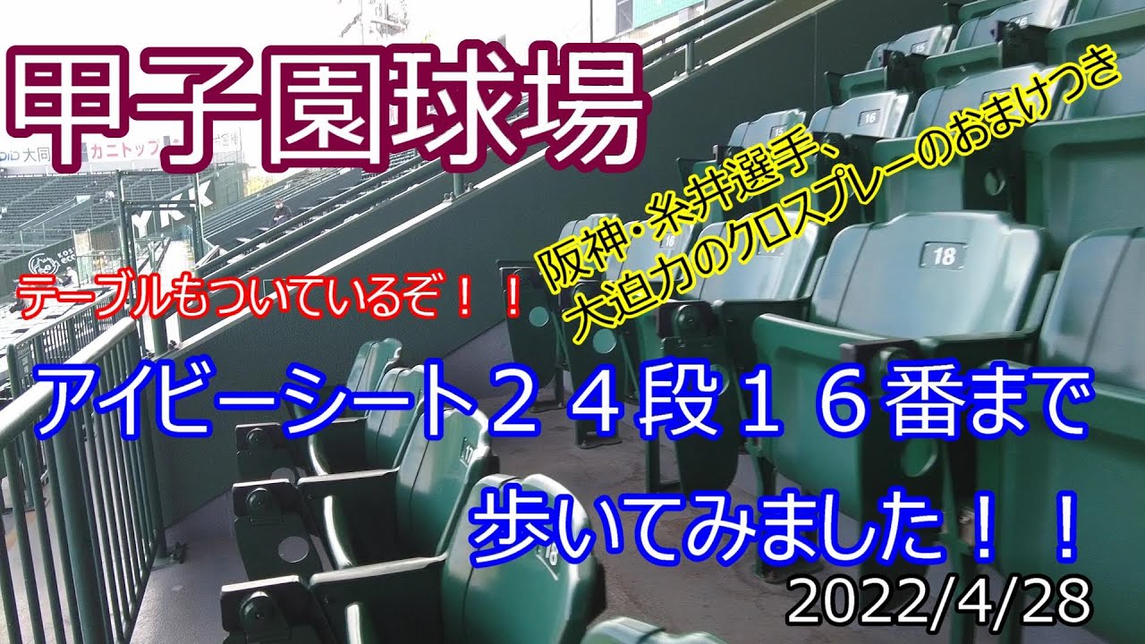 甲子園 アイビーシート 見え方