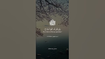 سورة الاخلاص-Al-Ikhlas بصوت القارئ الشيخ صلاح بو خاطر