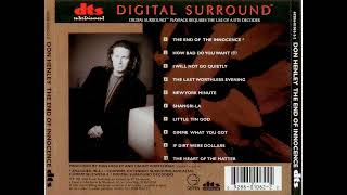 Don Henley - The End of The Innocence - 5.1 surround screenshot 3