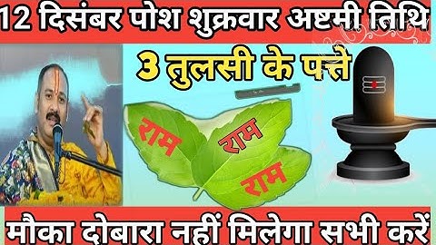 12 दिसंबर पौष शुक्रवार अष्टमी तिथि के दिन 3 तुलसी का पत्ता वाला उपाय जरुर करे || @Sapnarajput_151 