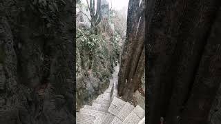 石林景区 #Stone #Forest #China #shilin #kunming #Mountain #nature