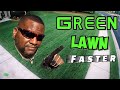Green and Thicker lawn Fast // Four proven techniques using Flagship fertilizer .