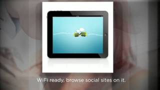 Web Application Development Services
