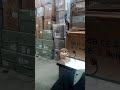 dancing kid loving video owl apt