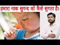 how we feel a SMELL ( हम किसी सुगन्द को केसे सुंगते है ) khan sir patna