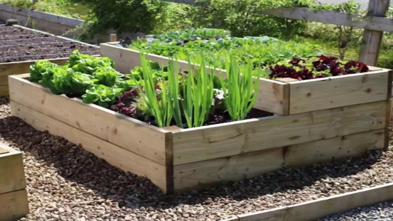 Herb Garden Design Plans - YouTube