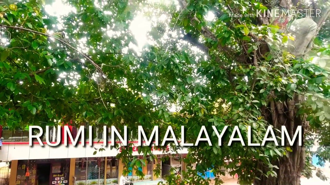 RUMI IN MALAYALAM I BOOK LAUNCH I TRAVALOUGE I EM HASHIM I C. HAMZA I ANAKKACHERI MOOSA I JABIR I