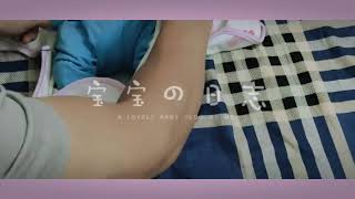 Sò Ơi. Sò Xinh Quá