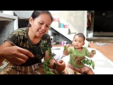 TAK BERDAYA ARNETA JULIA COVER ADELLA LIVE MRANGGEN DEMAK // CUMI CUMI AUDIO // TOP VISION