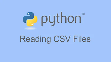 How do I view a CSV file in Python?