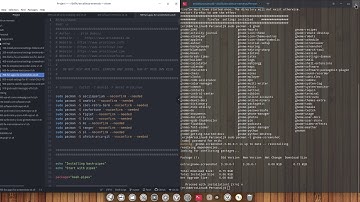 ArcoLinux : 826 installing ArcoLinux-Nemesis on Deepin - change the scripts to your own scripts 2/2