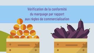 Présentation De Fel Partenariat