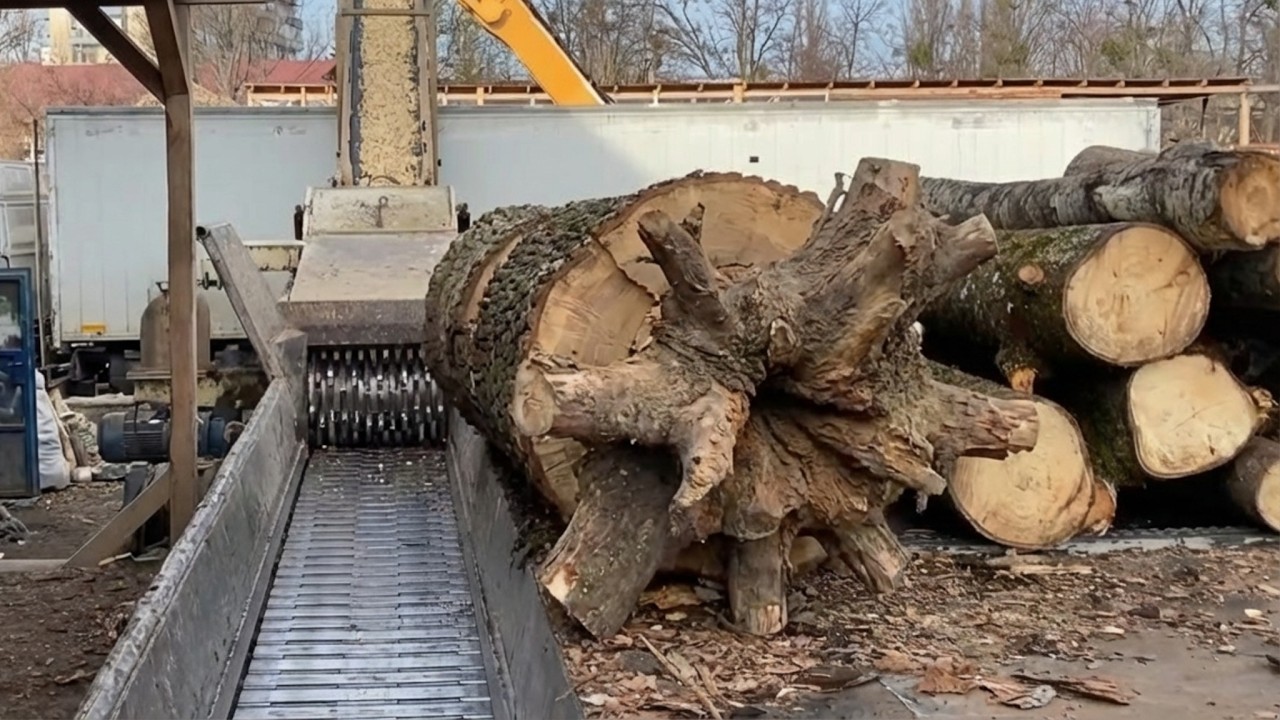 Just a Normal Day at Wood Chips Production.