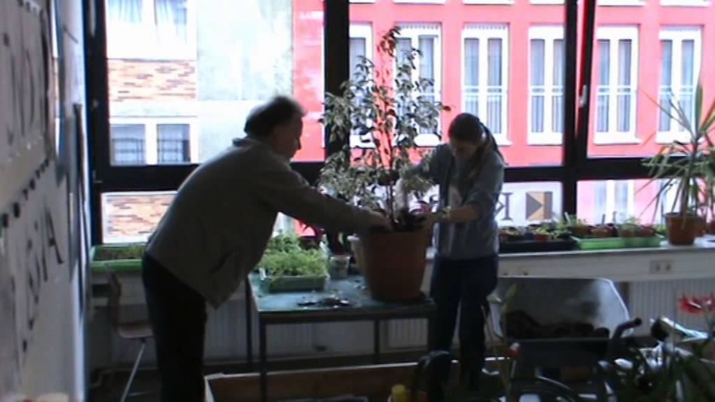 Berufsvorbereitung bei Kolping München: Garten- und Landschaftsbau