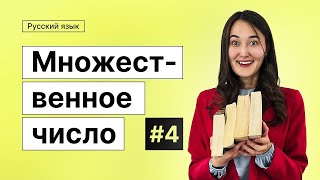 Множественное число | 4-dars | Rus tilini 0 dan o'rganish