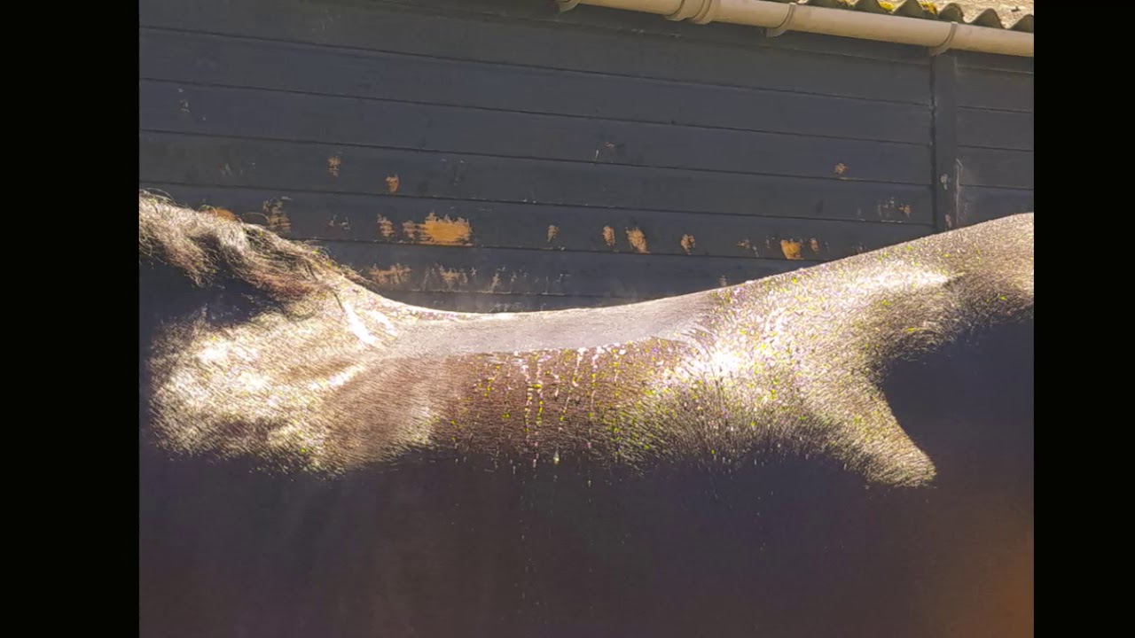 Training day at WOW SADDLES HQ