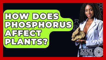 How Does Phosphorus Affect Plants? - Science Through Time