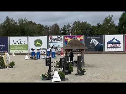 Imposante vede 1st @Lier 1m40