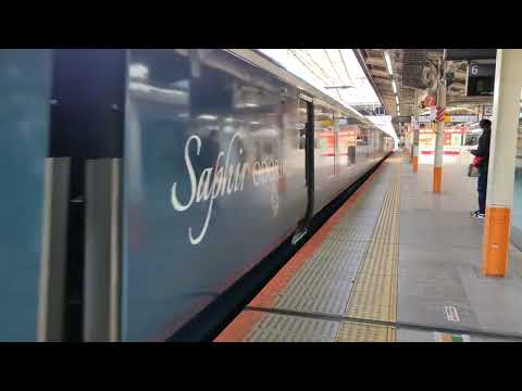 3月24日横浜駅 3001M サフィール踊り子1号 E261系 宮オオRS2編成 発車