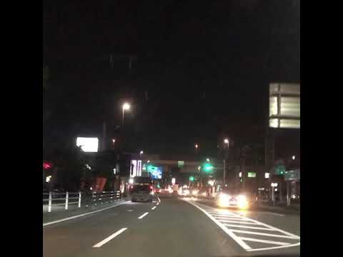 負けないで ZARD 唄 　おくんちゃん