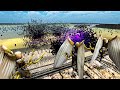 Void Archangels And Medieval Army vs Skeletons Wave - Ultimate Epic Battle Simulator 2
