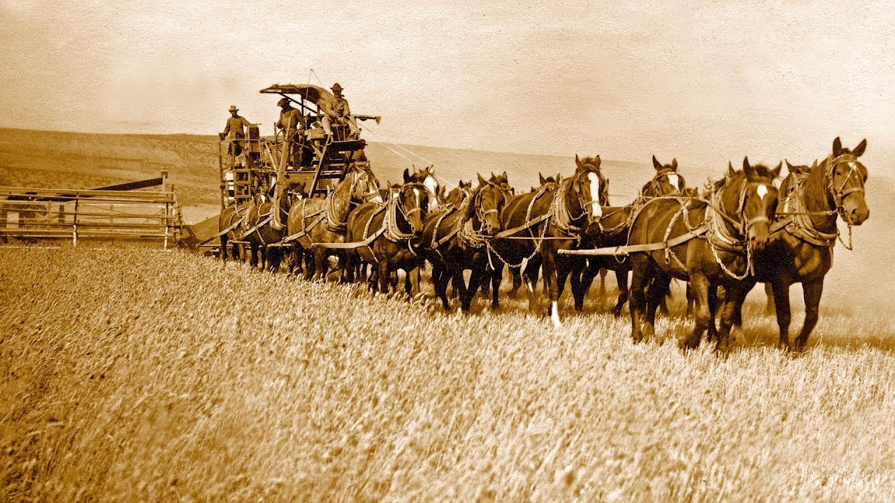 HorseDrawn Combine (1938 year), Atlı biçerdöver 1938 yılına ait YouTube