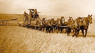 HorseDrawn Combine (1938 year), Atlı biçerdöver 1938 yılına ait