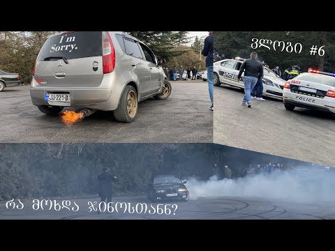 რა მოხდა ჯინოსთან? ვლოგი #6