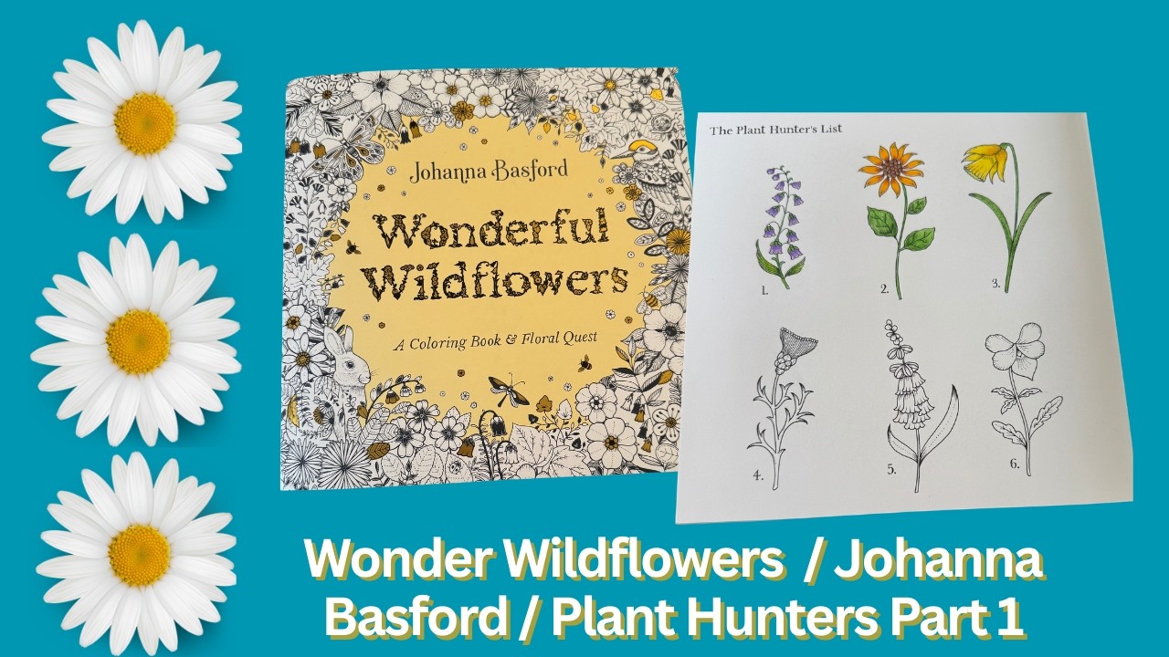 Johanna Basford / Wonderful Wildflowers / Plant Hunters / Part 1