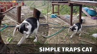 Technology Ideas Primitive Wild Cat Traps Using Ropes And Tree Twigs
