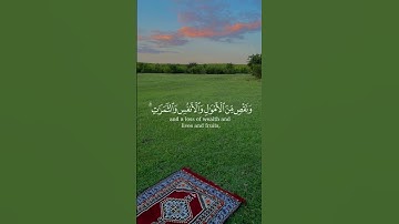 قرآن كريم❤️❤️#اذكروا_الله #fyp #قران_كريم #قران #quran_alkarim #quran #foryoupage❤️❤️ #for #اكسبلور