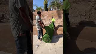 Installing a Giant Artificial Grass Roll in Minutes! 🌱