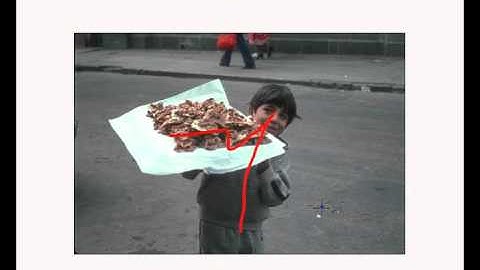 Interactive segmentation tool demo.mov