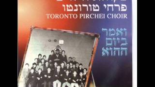 פרחי טורונטו יראו עינינו