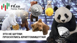 Опасно было шутить над криптомедведями! Обзор постов форума Форекс.Деньги: 21.03.2022