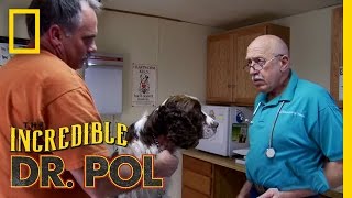Saving the Family Dog | The Incredible Dr. Pol