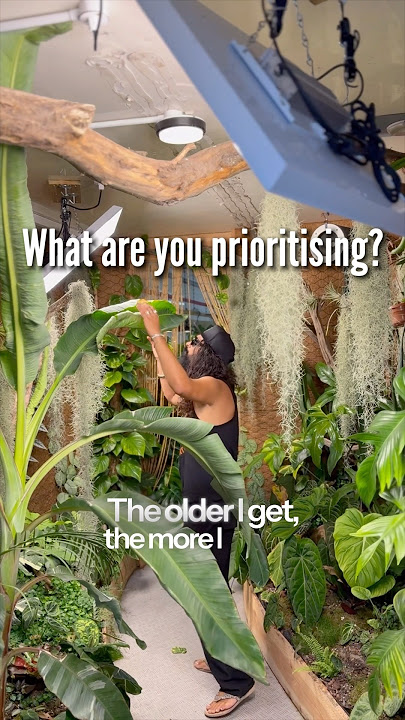 What if happiness isn’t a goal… but a habitat?
